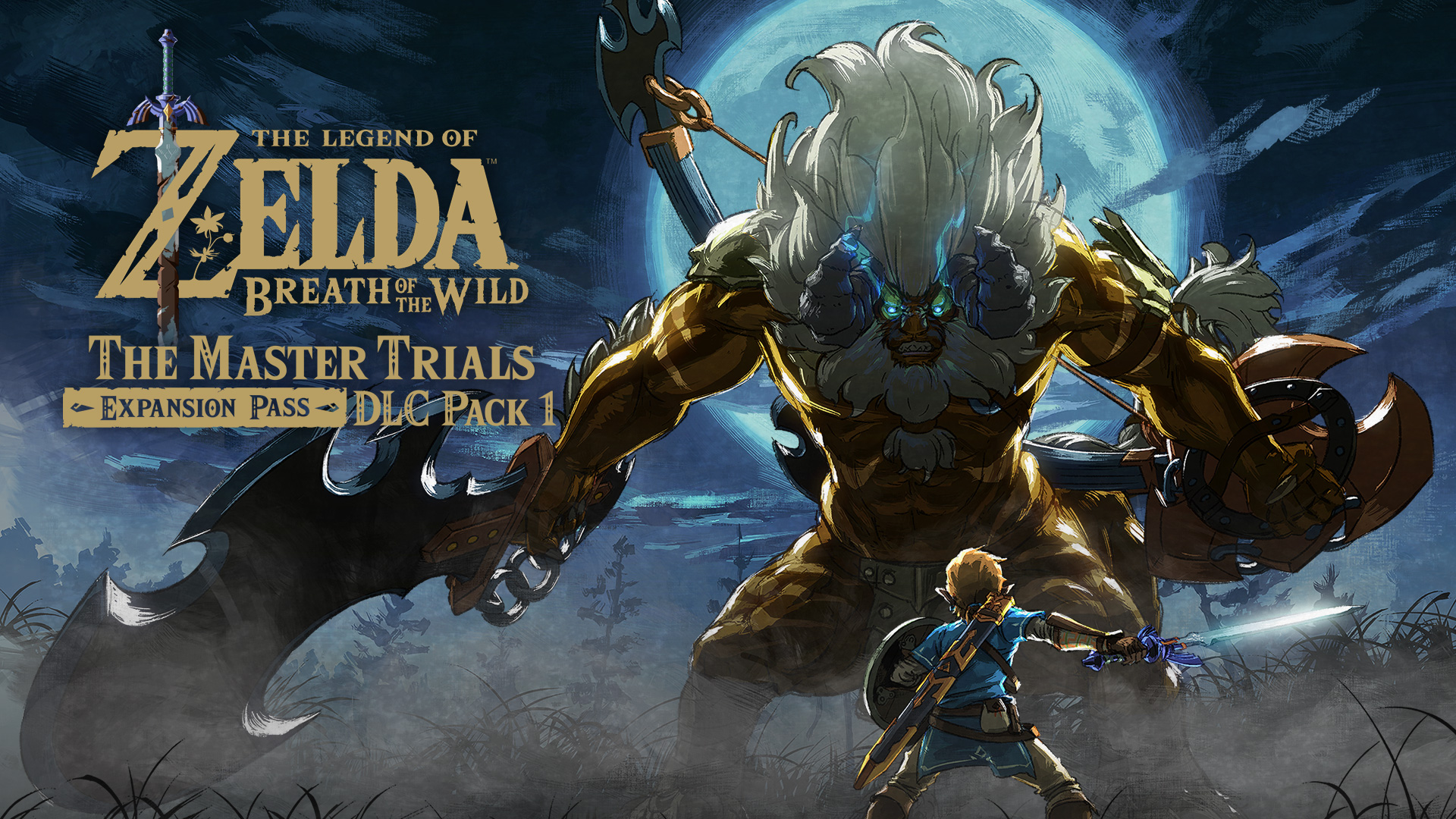 legend of zelda expansion pack image