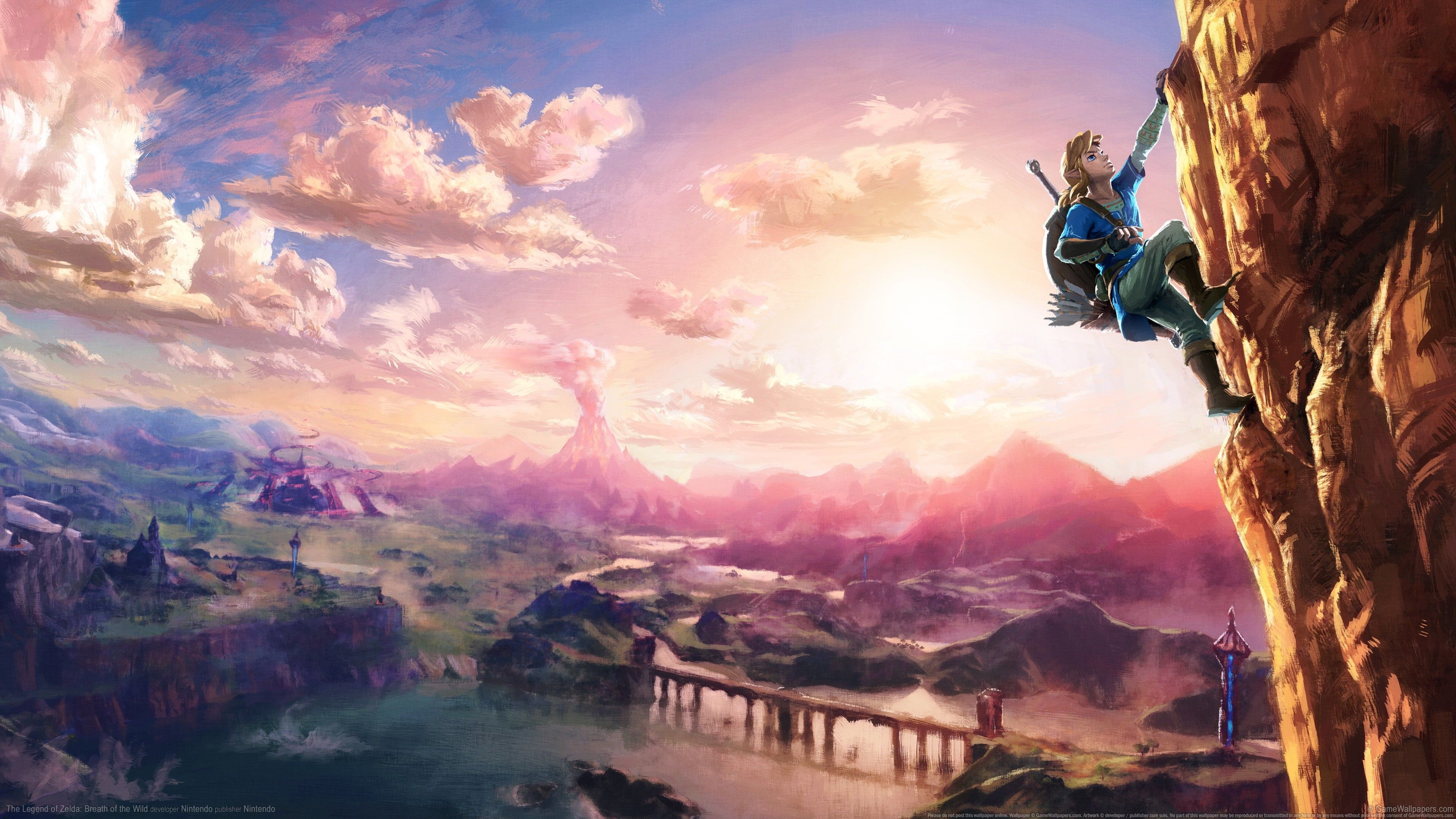 legend of zelda climibing wall image